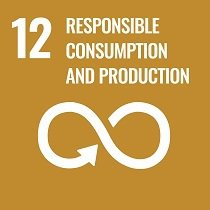 SDG-12-Responsible-Consumption-and-Production